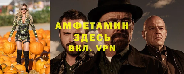 дурь Пыталово