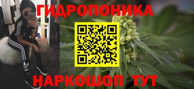прущие крисы Малгобек