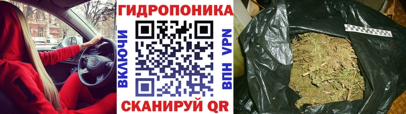 hydra ссылка  Удомля  Шишки марихуана White Widow 