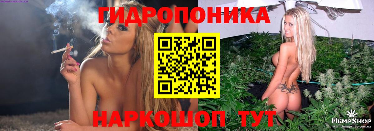 Каннабис планчик  Вход с VPN  Удомля  Каннабис Ganja 